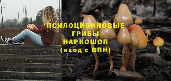 гидропоника Балахна